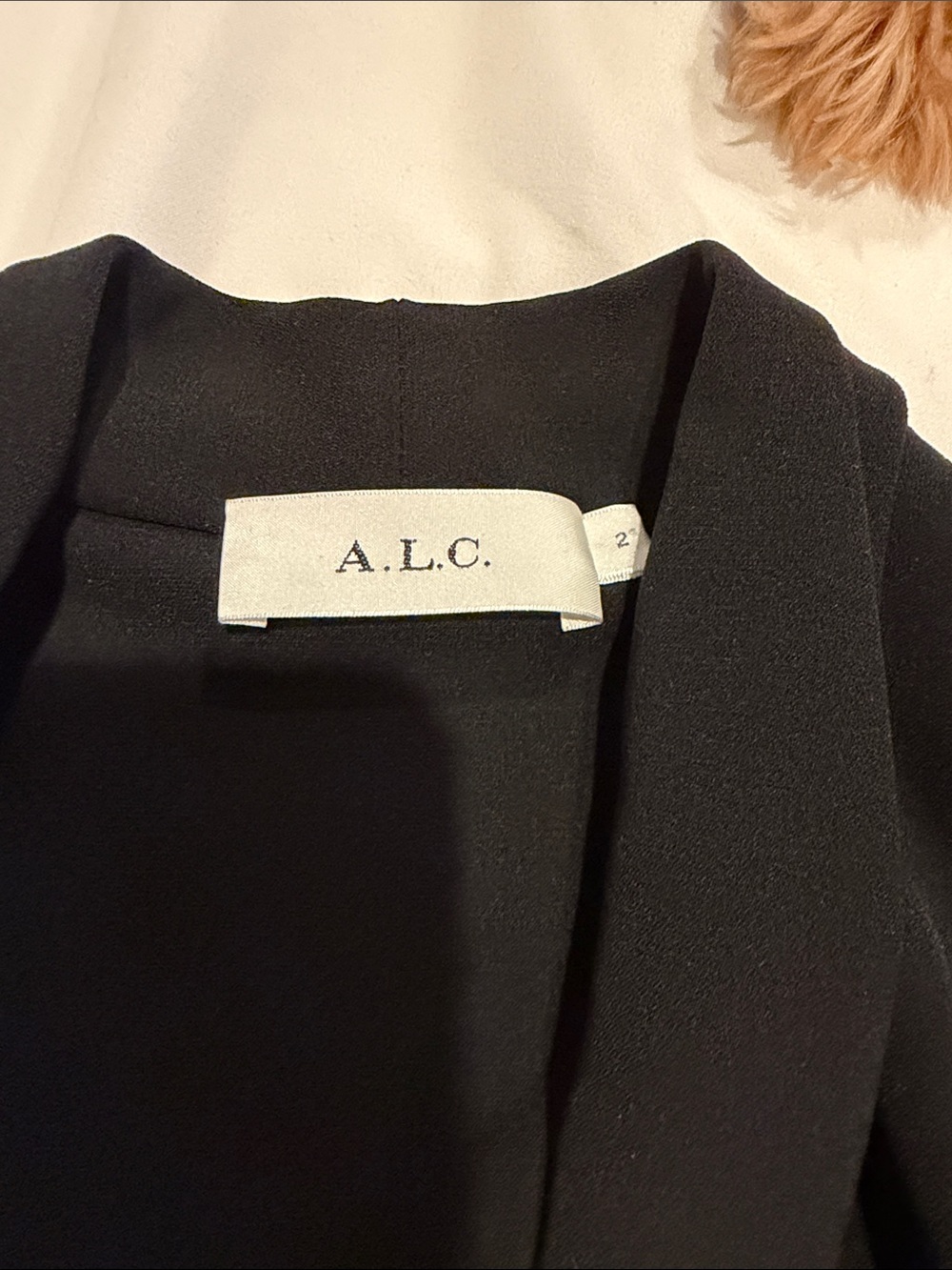 ALC - Picture 3 of 4